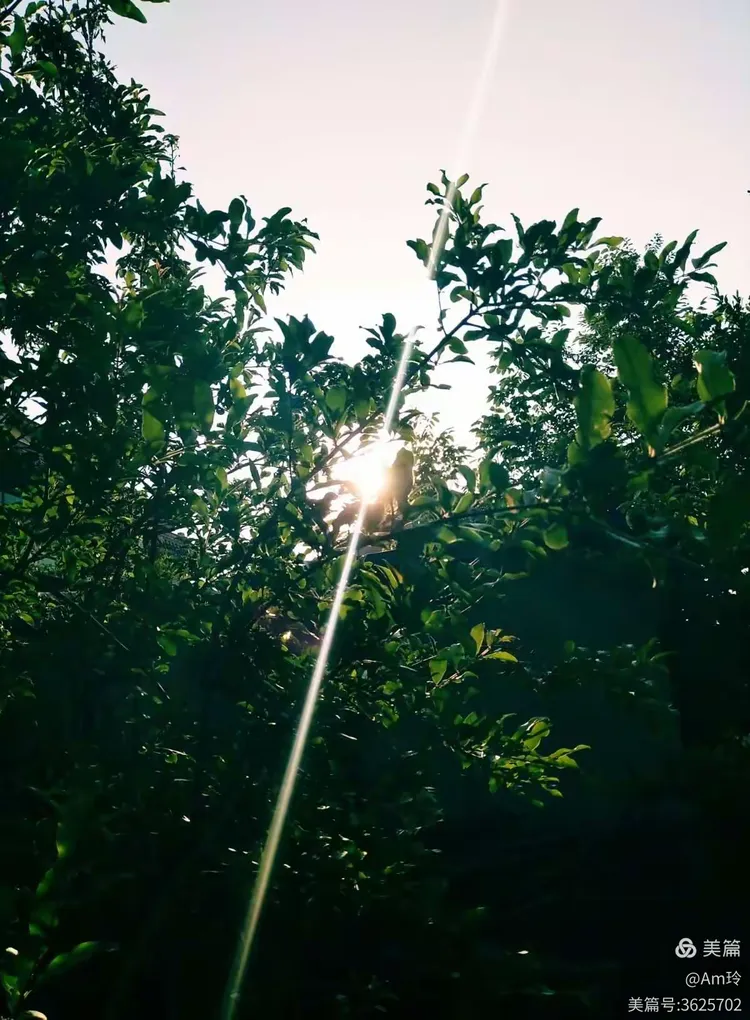 2018.5.10 清晨的第一缕阳光